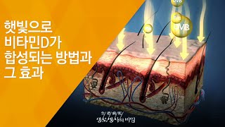 햇빛으로 비타민D가 합성되는 방법과 그 효과 - (20141029_522회 방송)_햇빛 충전 99%