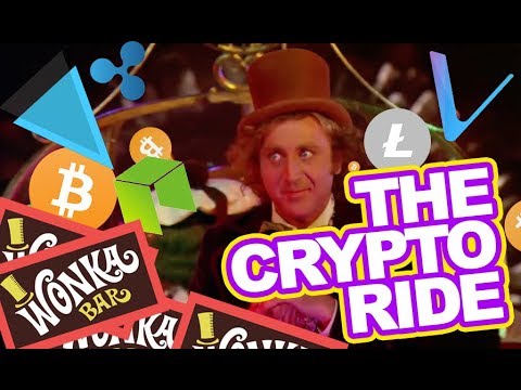 Actual footage of crypto traders (Willy Wonka Crypto Boat Ride)