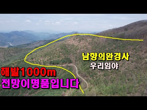 해발1000m싼야산 전망이명품입니다 남향의토질좋고 완경사/산약초임산물재배용/아무도없는곳/정선임야/정선부동산매매/정선토지매매