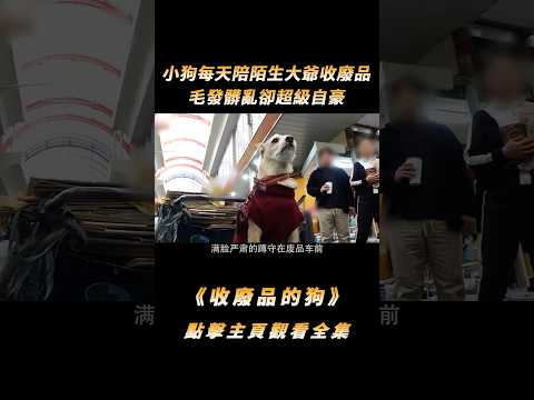 狗不嫌家貧！小狗每天陪陌生大爺收廢品，毛髮髒亂卻超級自豪#shorts