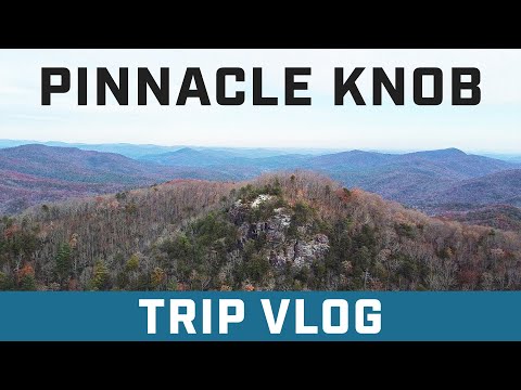 Solo Overnight on the Bartram Trail | Trip Vlog