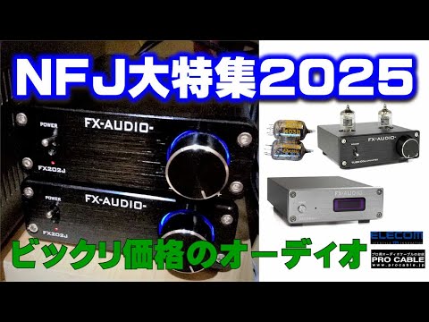 FX-AUDIO-（NFJ）！知る人ぞ知るビックリ価格でオーディオ入門2025改訂版、秘策あり...7か月毎月1万円程度でシステム完成。合計額66,250円（+楽天ポイント）。プロケーブルやエレコムも