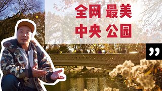 【 纽约中央公园赏秋 】 Central Park in NewYork City 感谢让我在你最美的季节遇见你 - 《 深秋的中央公园 》美国纽约旅游