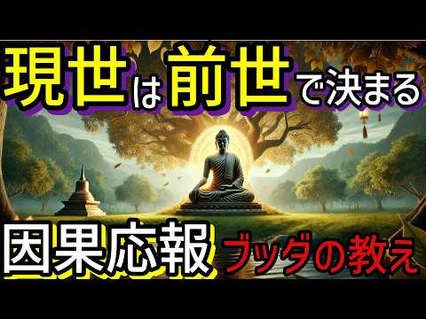 【ブッダの教え】「因果応報」前世の行いが決める現世の運命とは？因果応報の真理と意味。【仏教 瞑想 自己啓発】