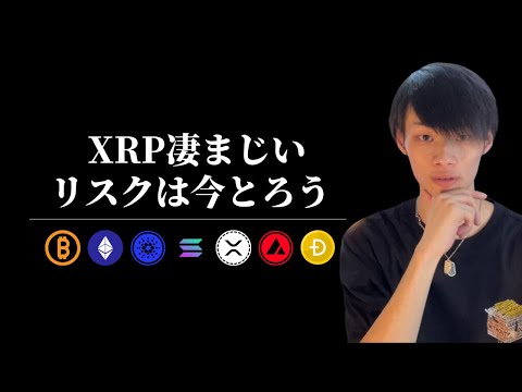 【XRPが凄まじい！】　リスクはとるべきという話　【仮想通貨・ビットコイン相場分析】