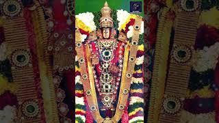 #Govindaa Govindaa Gopala Krishna#devotionalsongs #venkateswarasongstelugu #devotionalchants