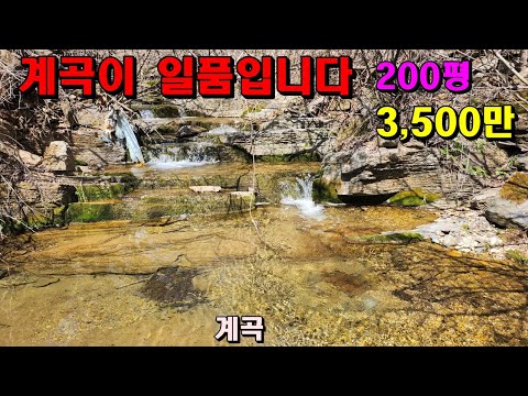 계곡이 일품입니다/200평3,500만/토목공사완료/해발700m아무도없는마을끝자락/정선부동산매매/정선토지매매/강원도계곡땅