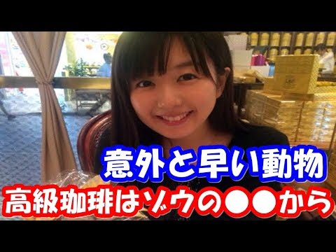 茅野愛衣 種田梨沙と赤﨑千夏に意外と思われる早く走れるアイツwゾウの高級珈琲の価格ww