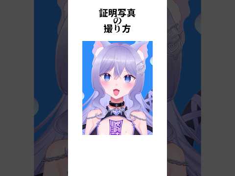 証明写真の撮り方 #vtuber #shorts #おなつのにびたし