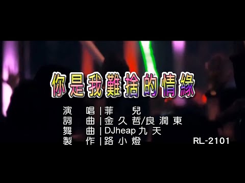 菲兒 | 你是我難捨的情緣 | (DJ版) | (1080P)KTV