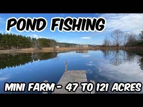 Fishing Pond - Large Creek - Pasture Land 47 to 120 Acres Alabama Land