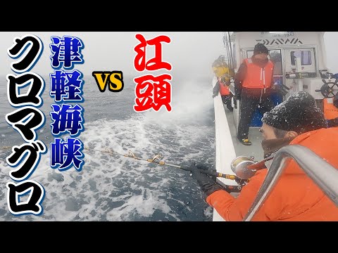 江頭、津軽海峡で【黒いダイヤ】クロマグロを釣る！