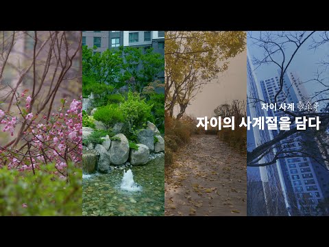 SENSE | 자이의 사계