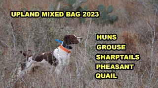 Upland Bird Hunting Mixed Bag 23