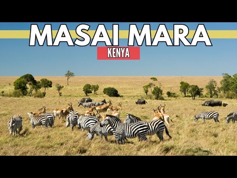 Beyond the Horizon: Masai Mara's Breathtaking Landscapes | Kenya Travel Guide