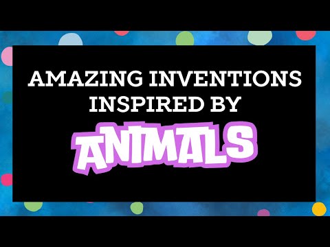 Amazing Inventions Inspired by Animals! 🐦🦋 | Nature’s Ingenious Designs