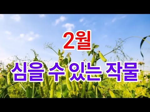 2월에 심을 수 있는 작물