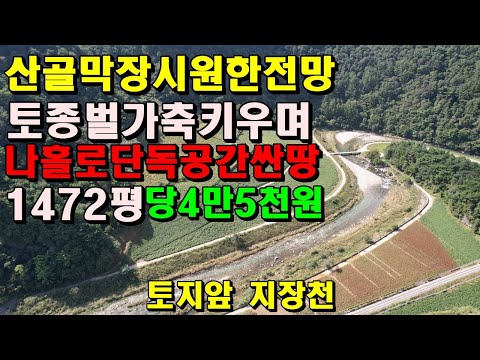 산골막장 뷰~가 시원스레~명품전망 토종벌가축키우며/당4만5천/싸게나온나홀로공간/정선부동산매매/정선토지매매