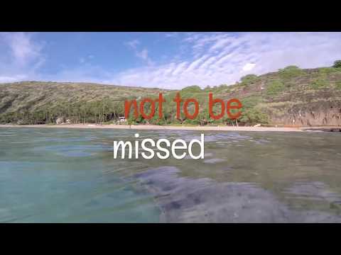 Hanauma Bay Snorkel