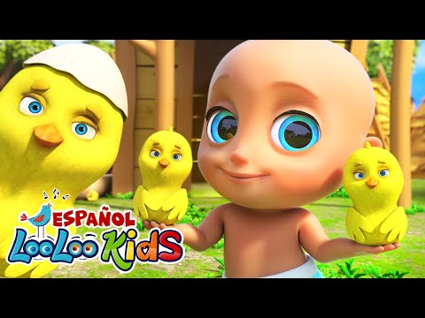 🐥Los Pollitos Dicen - Canciones infantiles - Canciones para Bebés - Aprender Español Para Niños