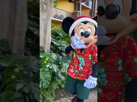 Merry Christmas #mickeymouse #disney #aulani