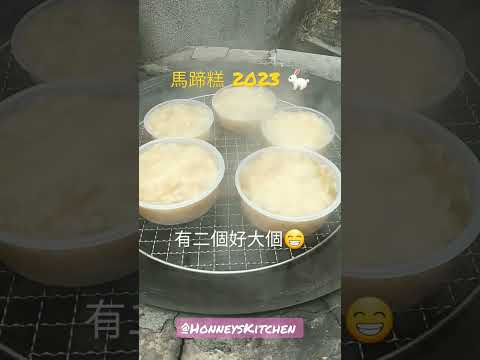 2023 自家製賀年糕點 客家柴火馬蹄糕 Homemade Chinese Water Chestnut Cake 水栗ケーキ 광동  딤섬 물 밤나무 케이크