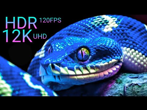 12K hdr 60fps dolby vision Video Beautiful world of dolby vision 12k video ultra hd