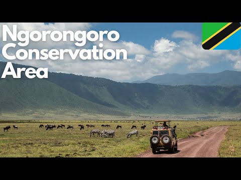 Exploring the Wonders of Ngorongoro Conservation Area