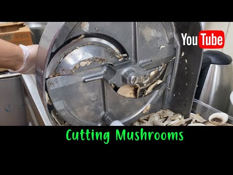 EASY PROCESS OF CUTTING MUSHROOMS