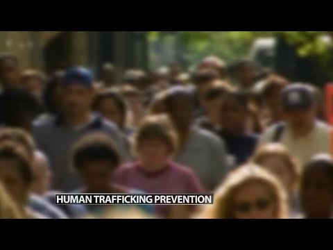 Police educating drivers, officials on signs of human trafficking