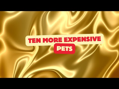 The 10 Most Expensive Pets in the World! 💸 | Exotic Animals You Won’t Believe