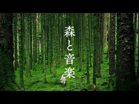 【MarimbaとマイナスイオンのBGM🌲】癒しの作業用&勉強用BGM | 森と音楽