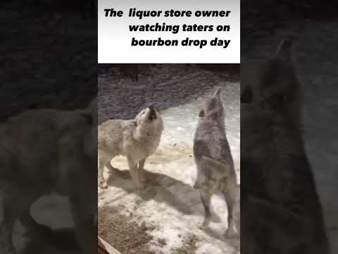 #bourbonhaul #bourbondrop day!  #bourbon #whisky #funny #fun #funnyvideo