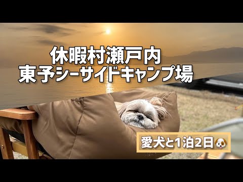 【1泊2日犬連れキャンプ🏕️】3月なのに海開きしました🐶🌊