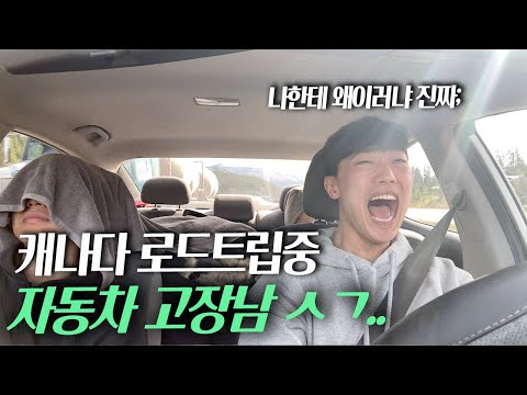 아름다운 벤프에서 불미스러운 일이...[무계획 북미 로드트립 ep.7-1]