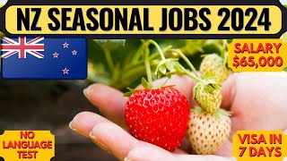 New Zealand Work Visa 2024 | New Zealand Seasonal Work Visa | New Zealand | Dream Canada