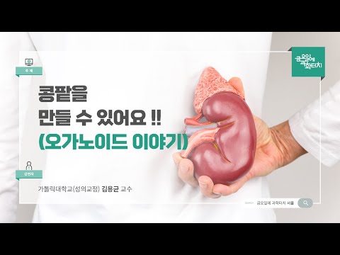 24.06.14 금요일에 과학터치(서울지역) - 콩팥을 만들수있어요. (오가노이드 이야기)