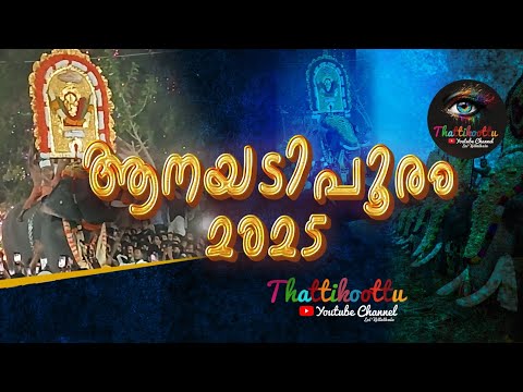 Anayadi Pooram 2025 Gajamela ആനയടി പൂരം