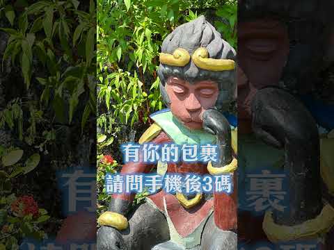 沉思的猴子與斯巴達勇士