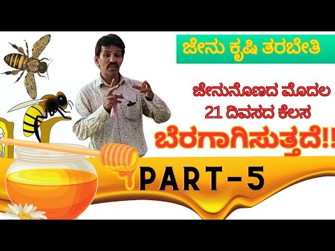 PART - 5  ಜೇನುನೊಣದ ಮೊದಲ 21 ದಿವಸ ನಿಮಗೆ ತಿಳಿದಿದೆಯೇ ? KNOW everything about first 21 days of a BEE