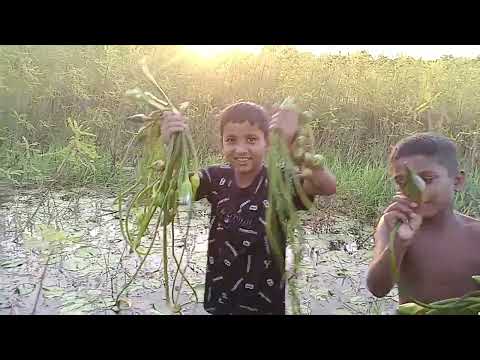 Children are collecting food Children's funny scene Kids Vlock Video। kids episode39