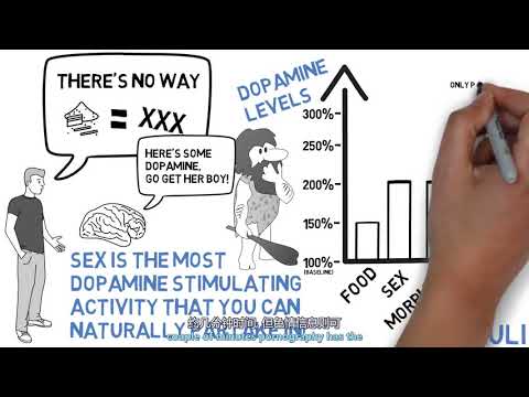 【抽象科普字幕组】戒冲圣经第一章 『科学告诉你为什么要戒手冲』NOFAP   SCIENTIFIC EVIDENCE THAT IT WORKS