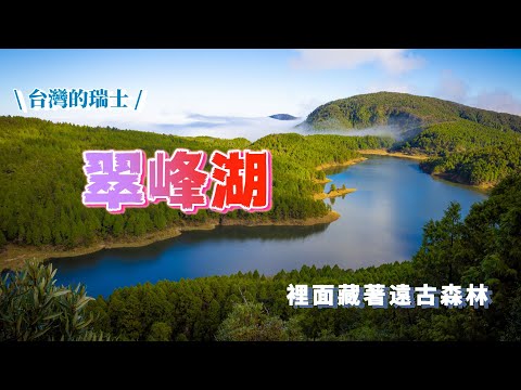 從『太平山莊』起床到『翠峰湖』的5個景點不只有黃喉貂在裡面還有不知名的神秘動物