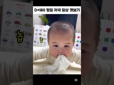 (생후 180일차) 자몽이네 평일저녁 일상👼🏻 #babyshorts #baby #6개월아기 #평일저녁 #일상 #평범 #소소한이야기