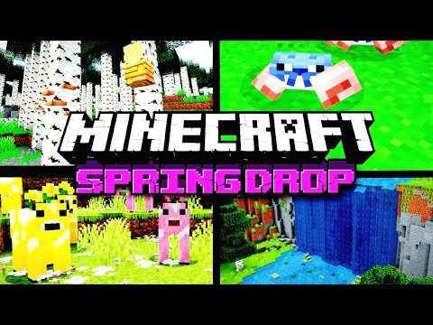 What's Next For Minecraft's SPRING DROP?