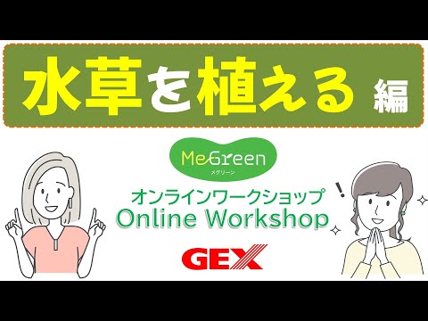 MeGreen Online Workshop 動画で解説！水草の植え方！