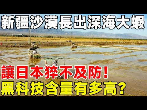 新疆沙漠長出深海大蝦，讓日本猝不及防！ 黑科技含量有多高？#科普頻道 #科普