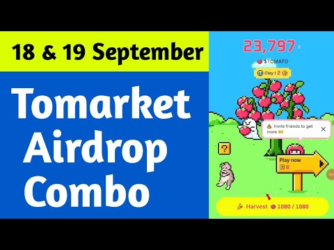 Tomarket combo 18 september | To market mastery combo 18 September  Tomarket combo today kaise khele