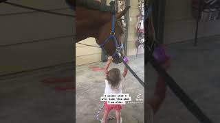 Cute and funny horse video #horse #equestrian #equine #horsevideo