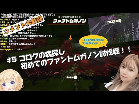 【作業BGM的にどうぞ】山崎はるかが傑作と言われるゼルダの伝説　ティアーズ　オブ　ザ　キングダムをやる！＃５【The Legend of Zelda】